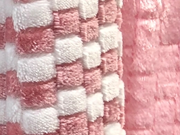 Coral velvet blanket