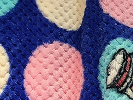 Pineapple coral velvet blanket
